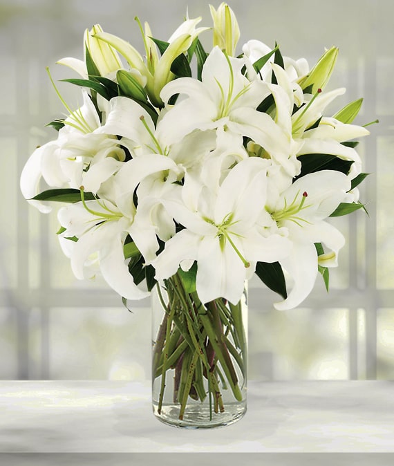 White Lilies